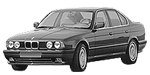 BMW E34 B154F Fault Code